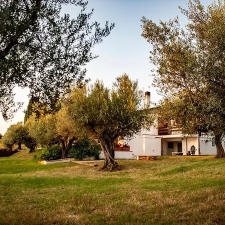 Villa Ninetta *