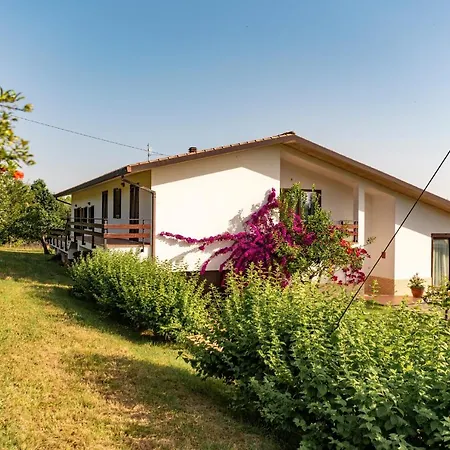 Ninetta Villa