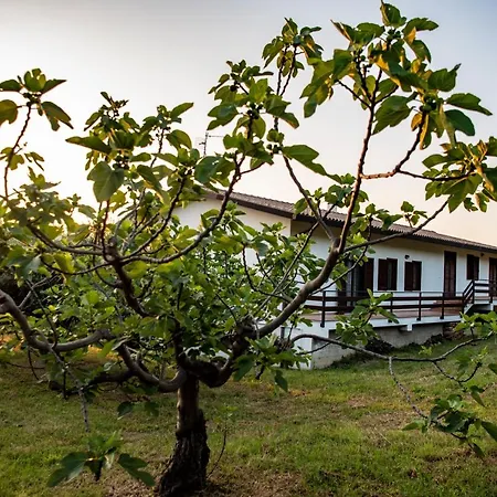 Villa Ninetta Bucchianico