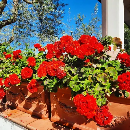 Villa Ninetta Bucchianico
