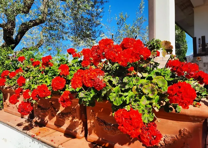 Villa Ninetta Bucchianico